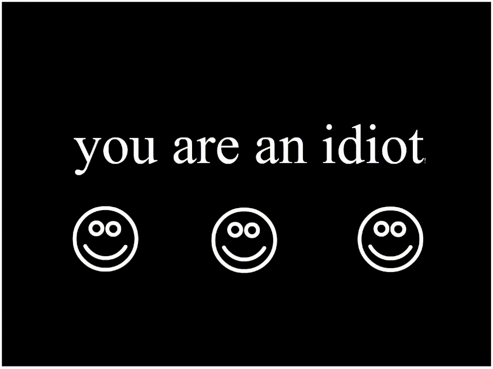 File:You Are An Idiot screen.gif