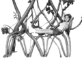 Thumbnail for version as of 18:07, 10 May 2023