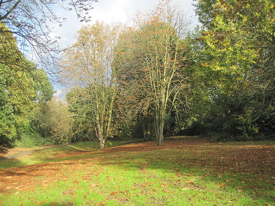 File:Belmont Open Space Cockfosters.JPG