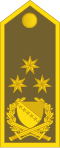 General pukovnik(Bosnian Ground Forces)