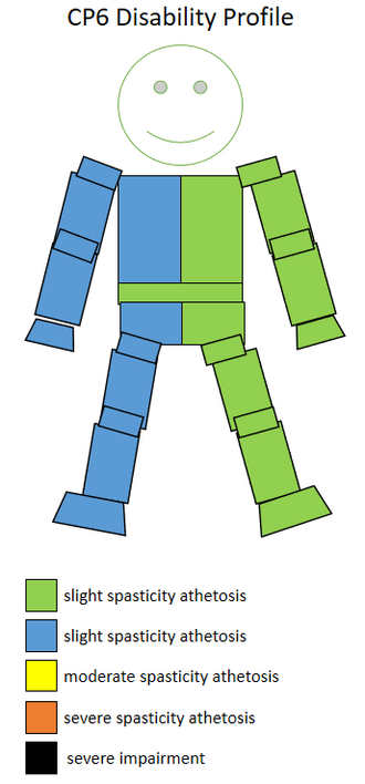 File:CP6 disability profile.png