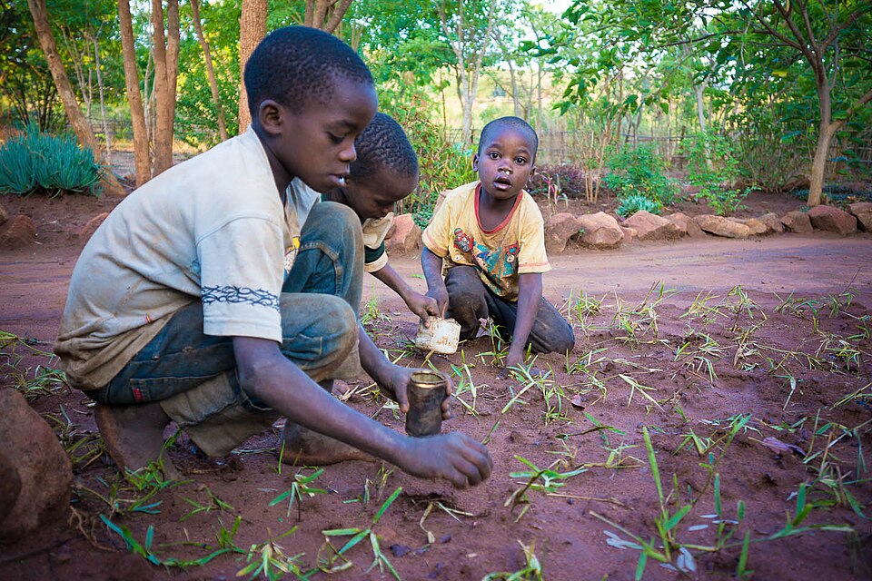 File:Collecting Ngumbi.jpg