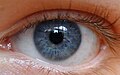 Thumbnail for version as of 08:22, 5 May 2012