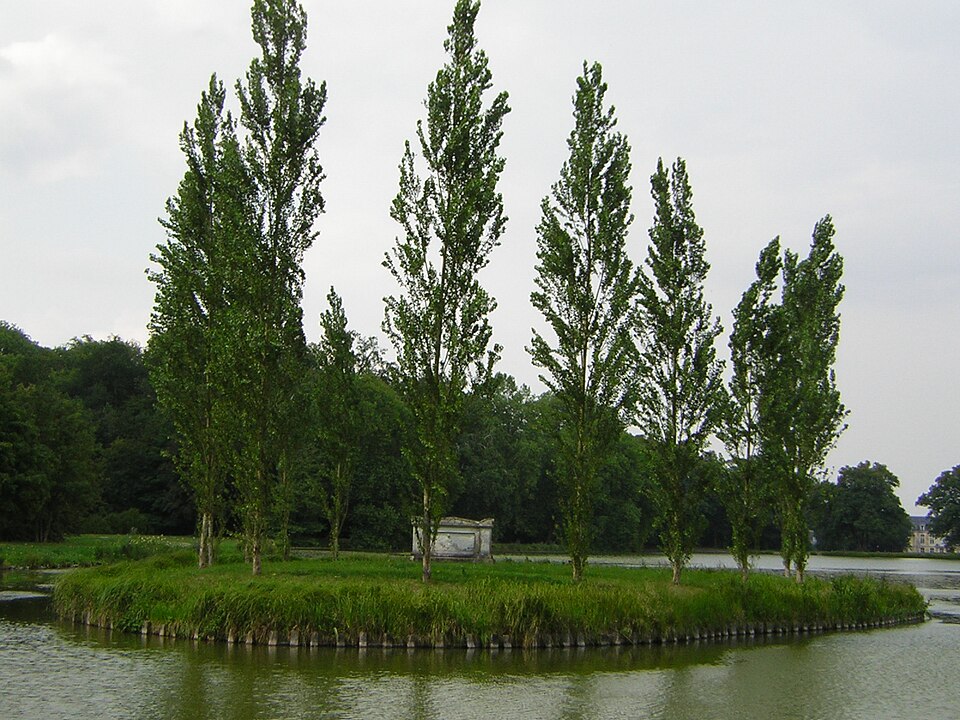 File:Erm6.JPG
