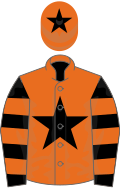 Orange, black star , black and orange hooped sleeves, orange cap, black star
