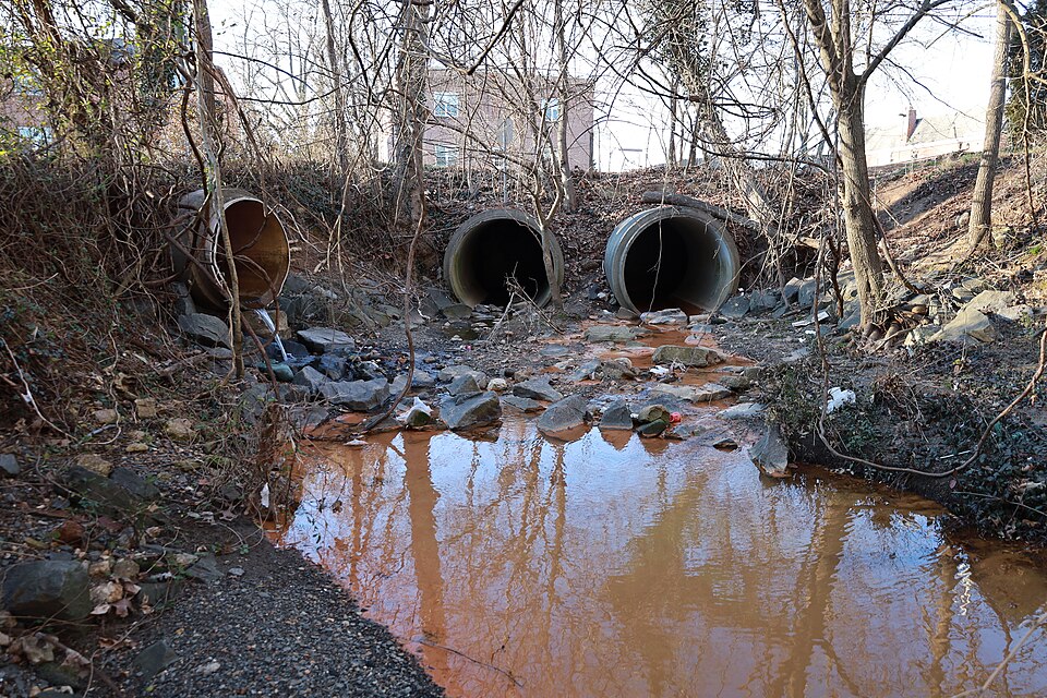 File:Accotink Creek source 2021.jpg