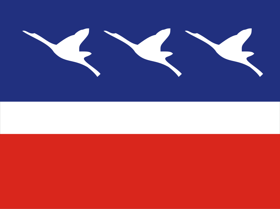 File:Bandeira Guaratingueta SaoPaulo Brasil 2.svg
