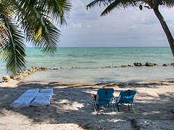 Corozal limestone beach