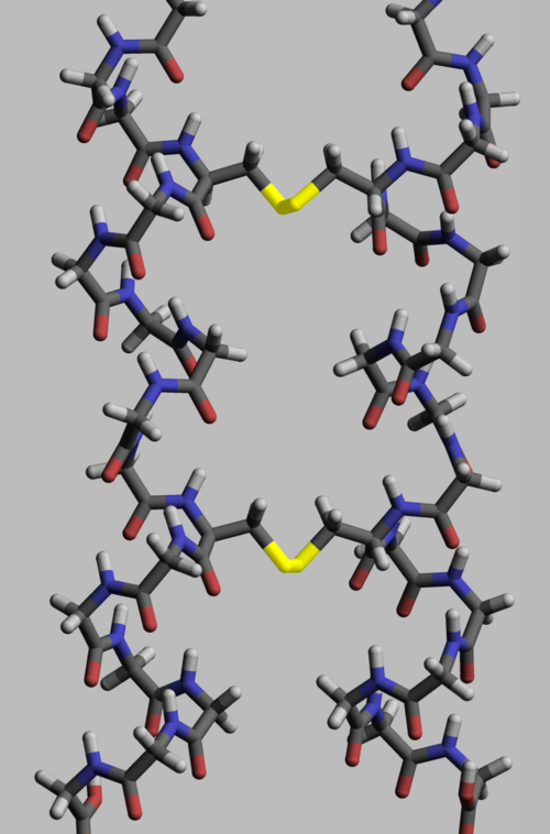 File:Disulfide-bridges-made-in-Avogadro.png