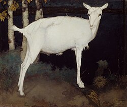 Young white goat