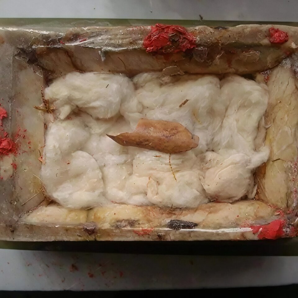 File:Saint Thomas relics.jpg
