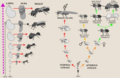 Thumbnail for version as of 22:17, 4 October 2023