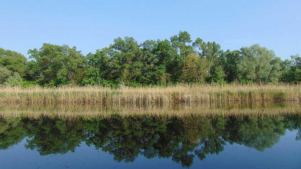 File:Архіпелаг Білаї. Дніпро.jpg