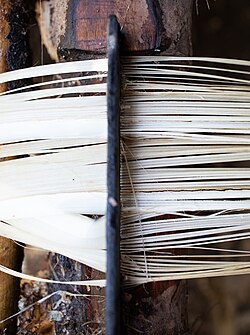6. The fibres are then “combed” to separate them.
