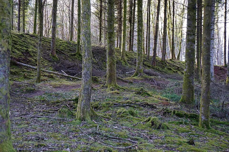 File:2015-03 - Puits du Tonnet 03.JPG
