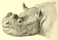 Thumbnail for version as of 22:16, 23 May 2026