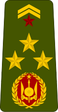 Général de brigade(Djiboutian Army)