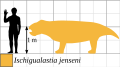 Ischigualastia