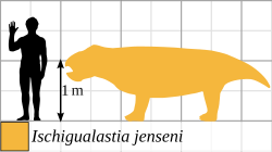 File:Ischigualastia jenseni size comparison.svg