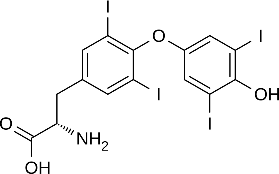File:Levothyroxine2DCSD.svg