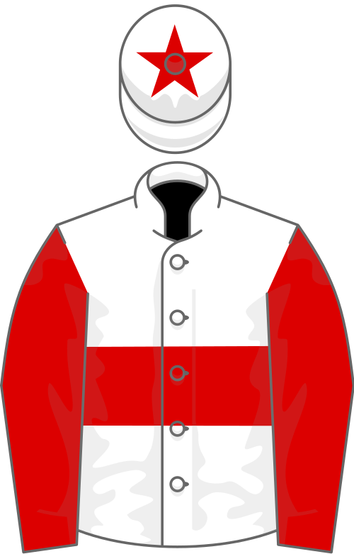 File:Owner P M Racing Syndicate.svg
