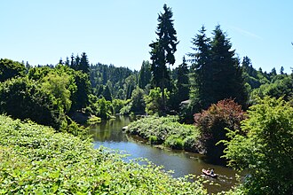 A canoe passes on a small river in a lush area with many plants and trees