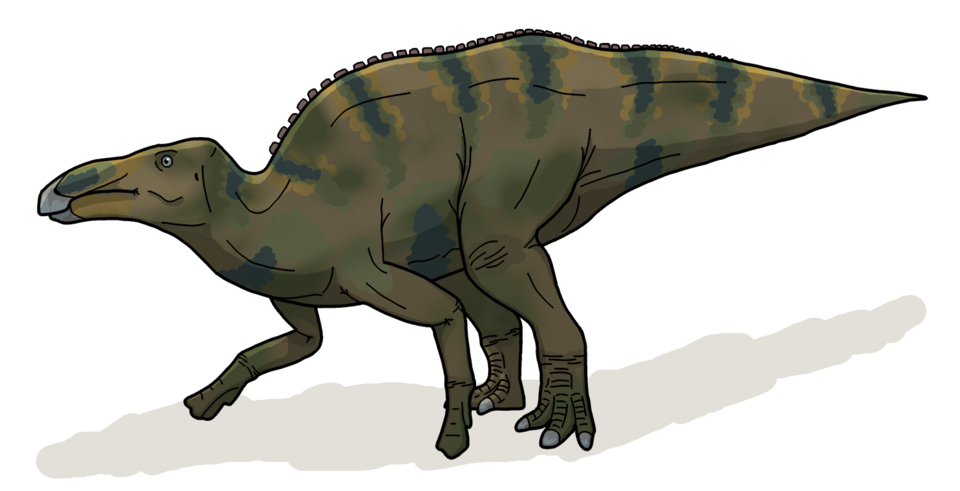 File:Shantungosaurus life.png