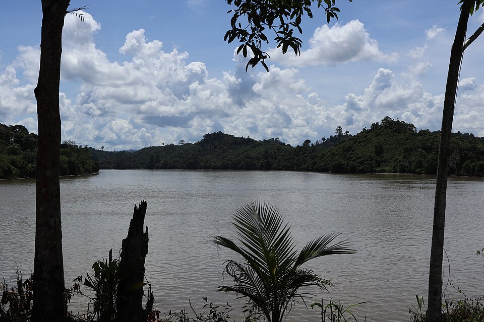 File:Sungai Kayan.JPG