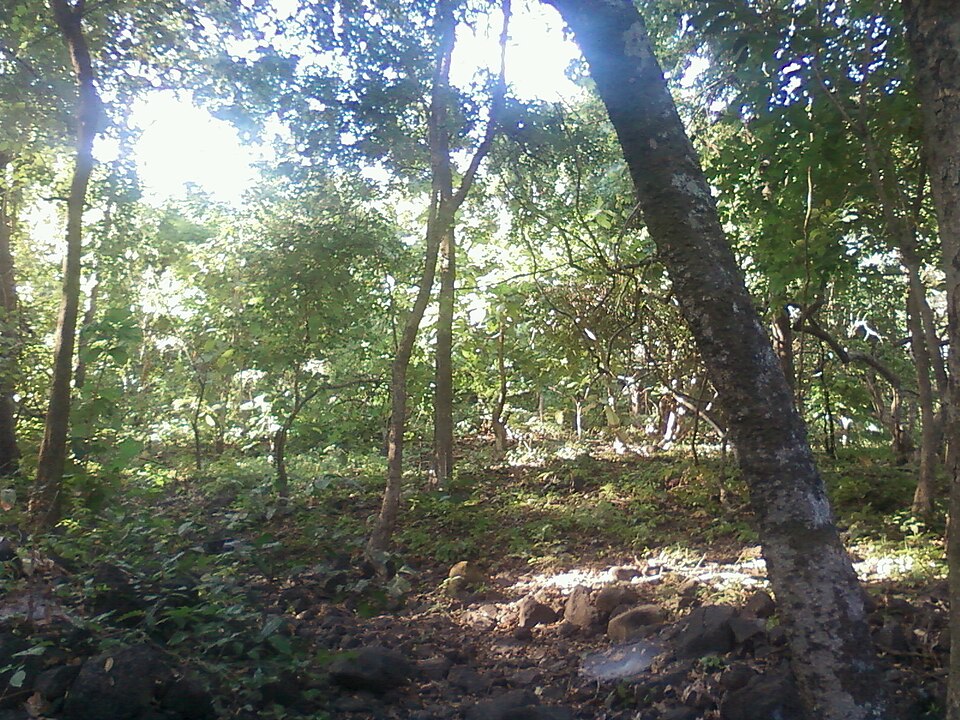 File:Asheri4.jpg
