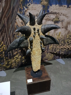 Tail club of Doedicurus