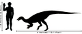 Thumbnail for version as of 20:25, 22 September 2007