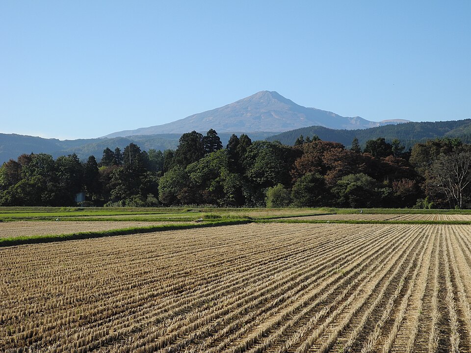 File:Mt. Chokai over rice fields.jpg
