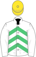 White and emerald green chevrons, white sleeves, yellow cap