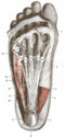 Thumbnail for version as of 18:52, 5 May 2026