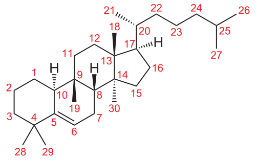 File:Cucurbitane Grundstruktur num.svg