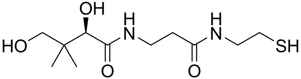 File:Pantetheine structure.png