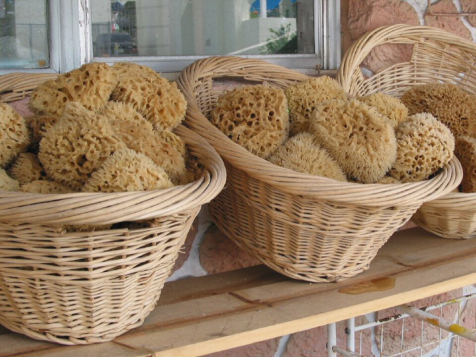 File:SpongesTarponSprings.jpg