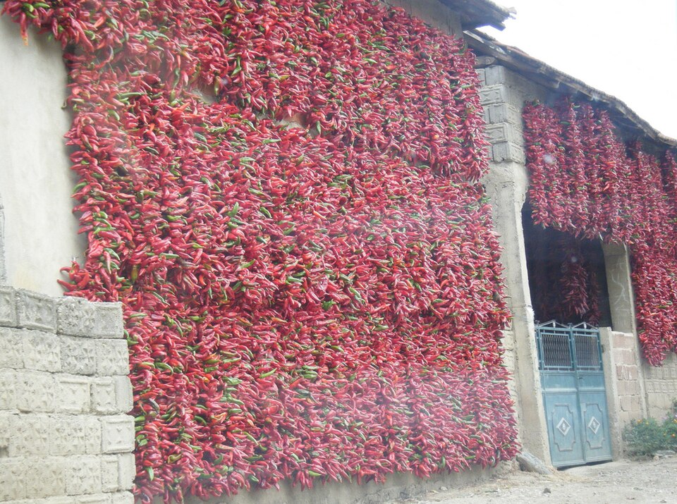 File:Кућа окићена паприком.jpg