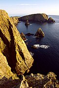 West cliffs, Fair Isle