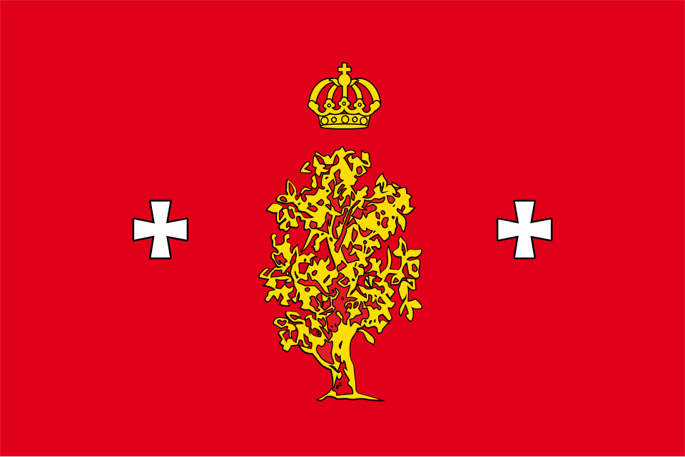 File:Flag of Borisovsky rayon.svg