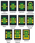 Pharmacist Ranks of the medical component.