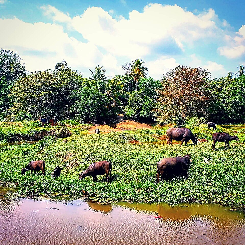 File:Beautiful sri Lanka 02.jpg