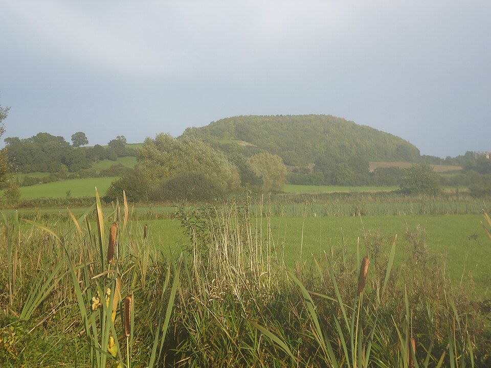 File:Bishton Wilcrick Hill Camp-19-Oct-2013.JPG