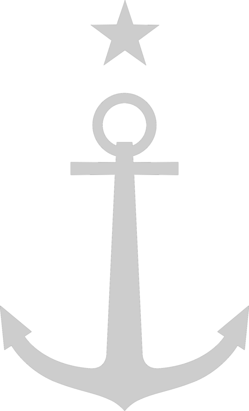 File:Chilean Naval Aviation Roundel (Low Visibility).png
