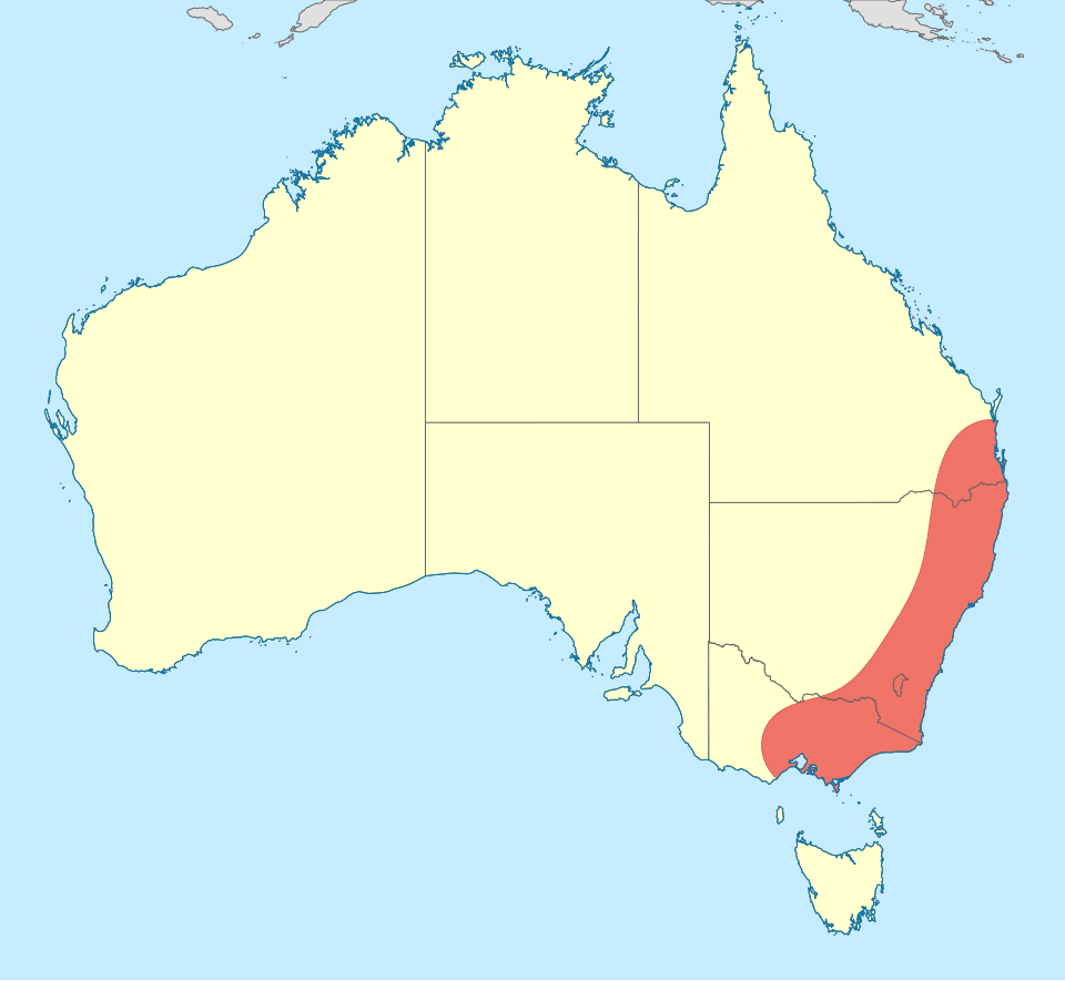 File:Diphlebia lestoides distribution map.svg