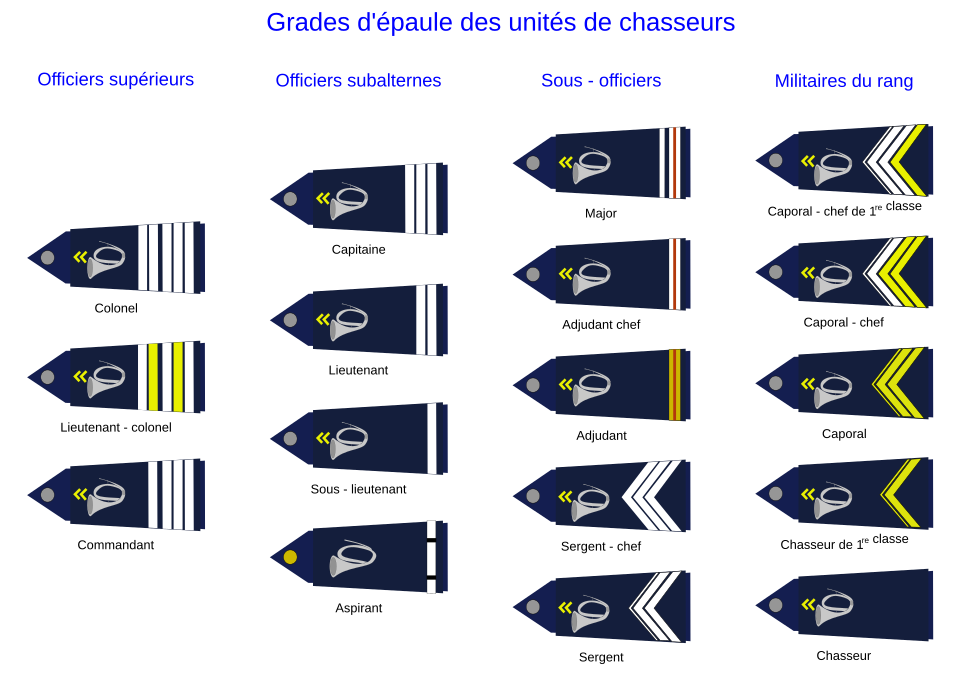 File:Grades des chasseurs.svg