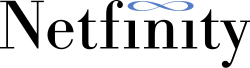 Logo of Netfinity