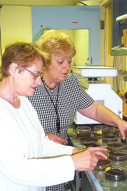 File:PNNL soil tests.jpg