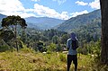 Image 4Highlands of Papua New Guinea (from New Guinea)