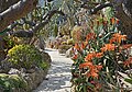 Image 55Walkway in the jardin exotique de Monaco (Exotic Gardens) (from Monaco)